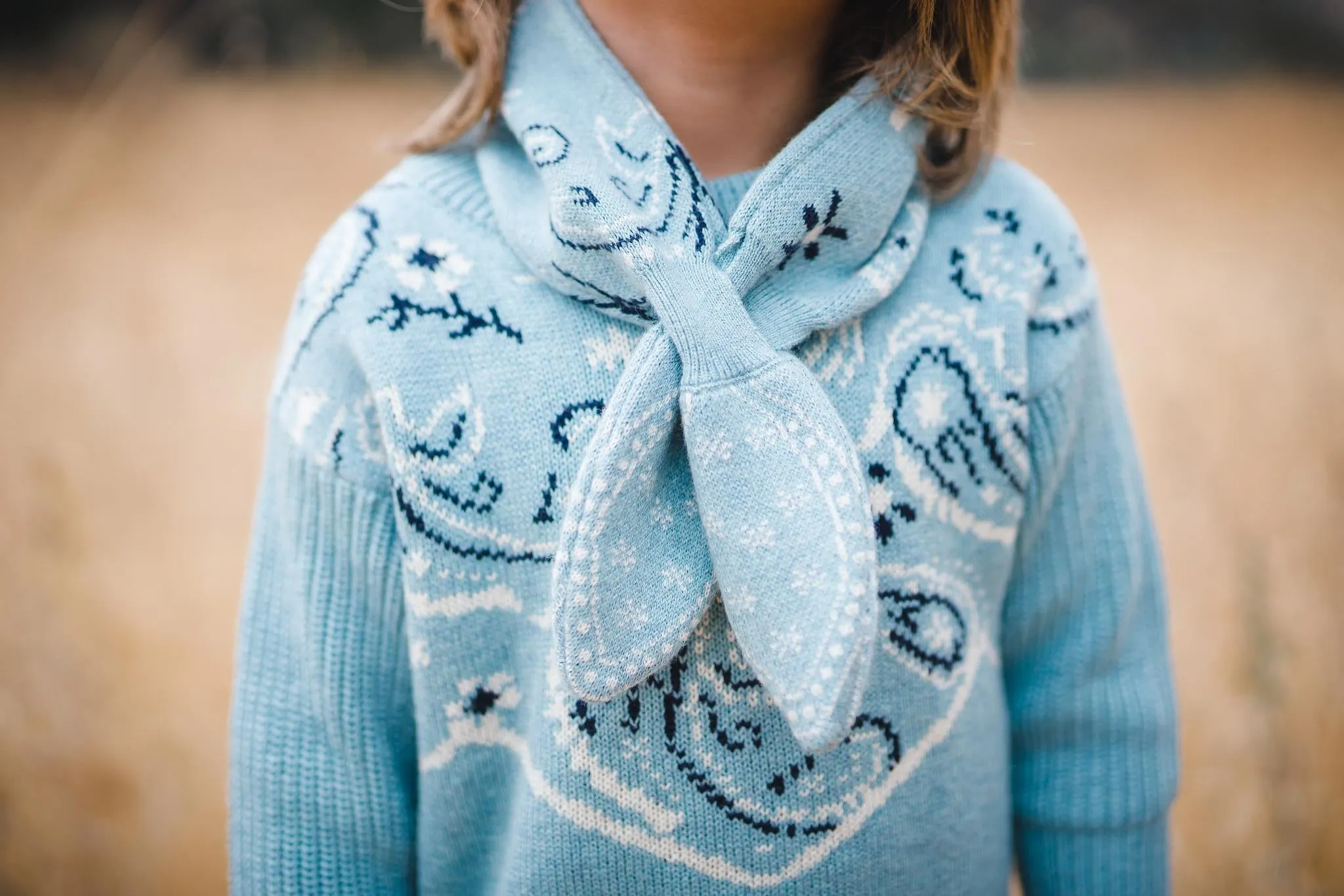 Chambray Bandana Neckerchief